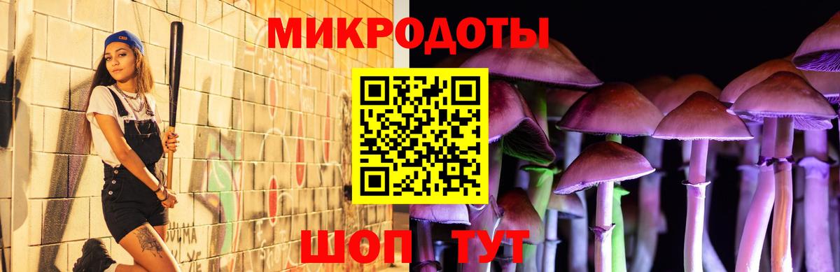 Унеча  Галлюциногенные грибы Psilocybine cubensis  Вход с VPN 